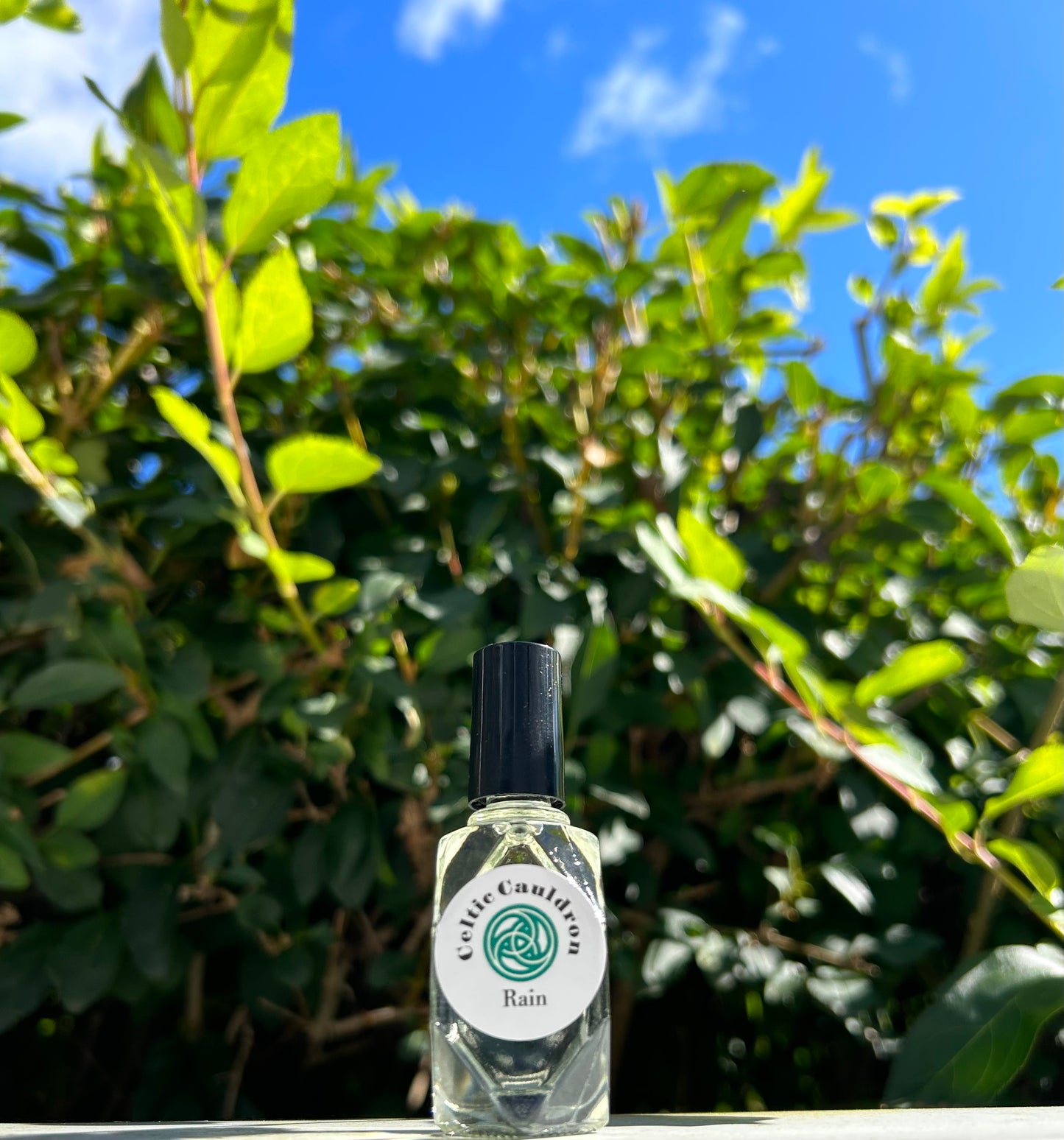 Egyptian Musk Perfume Oil